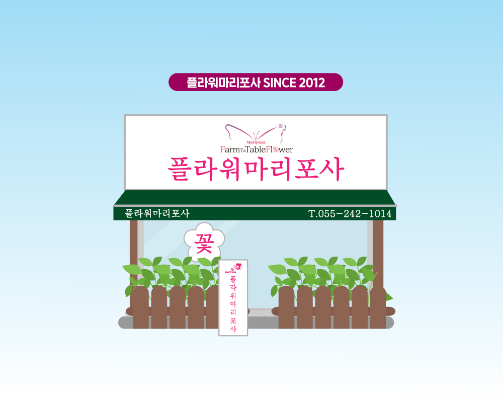 플라워마리포사